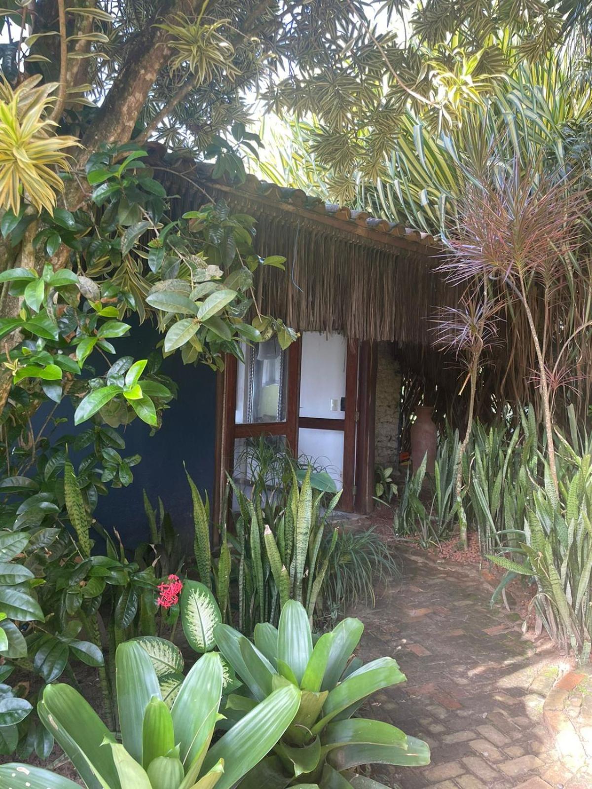 Pousada Morro Dos Navegantes Ilhéus Eksteriør billede